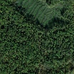 Satellite imagery of Mogilata, BG