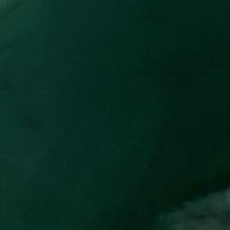 Satellite imagery of Durham Point, US