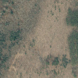 Satellite imagery of Camden Ridge, US