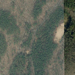 Satellite imagery of Camden Ridge, US