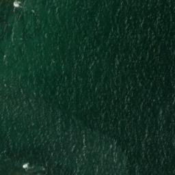 Satellite imagery of Raynes Neck, US
