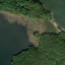 Satellite imagery of Adams Point, US