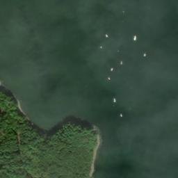 Satellite imagery of Adams Point, US