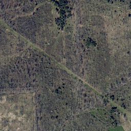 Satellite imagery of Bear Ridge, US