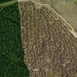 Satellite imagery of survey_point, FR
