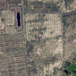 Satellite imagery of Bear Ridge, US