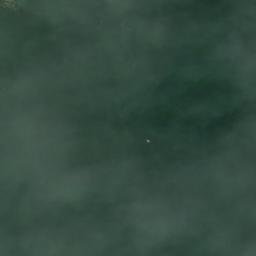 Satellite imagery of Adams Point, US