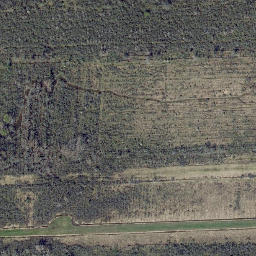 Satellite imagery of Bear Ridge, US
