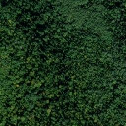 Satellite imagery of Borovac, ME