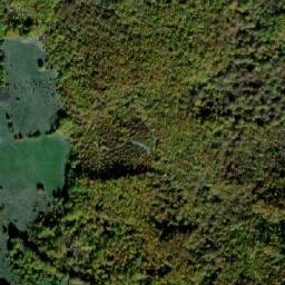 Satellite imagery of Kruševlje, RS