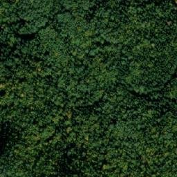 Satellite imagery of Borovac, ME