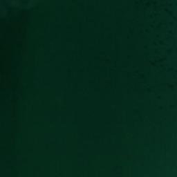 Satellite imagery of Woodman Point, US