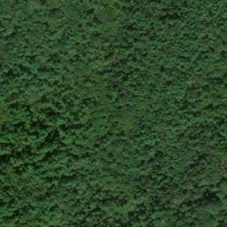 Satellite imagery of Sewards Point, US