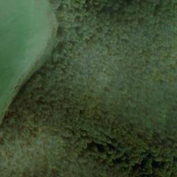 Satellite imagery of survey_point, FR