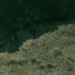 Satellite imagery of Rep, BA