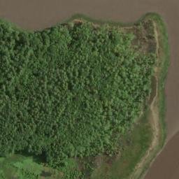 Satellite imagery of Shackford Point, US
