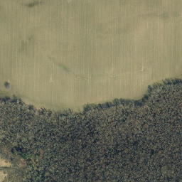 Satellite imagery of Limestone Ledge, US