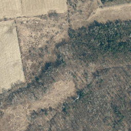 Satellite imagery of Chestnut Ridge, US