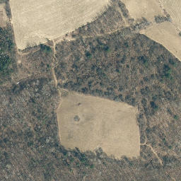 Satellite imagery of Chestnut Ridge, US