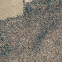 Satellite imagery of Chestnut Ridge, US