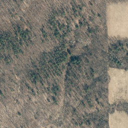 Satellite imagery of Chestnut Ridge, US