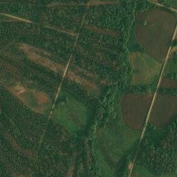Satellite imagery of survey_point, ES