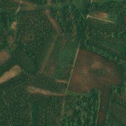 Satellite imagery of survey_point, ES