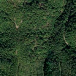 Satellite imagery of Radovanova Kosa, RS