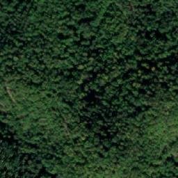 Satellite imagery of Radovanova Kosa, RS