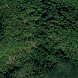 Satellite imagery of Radovanova Kosa, RS