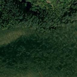 Satellite imagery of Radovanova Kosa, RS