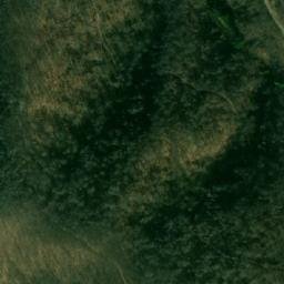 Satellite imagery of Radovanova Kosa, RS