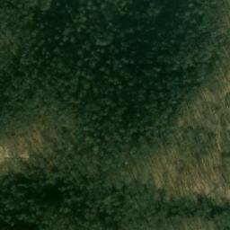 Satellite imagery of Radovanova Kosa, RS