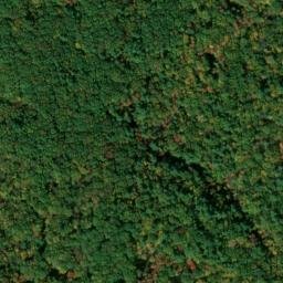 Satellite imagery of Powells Point, US