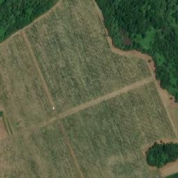 Satellite imagery of TT37B, BG