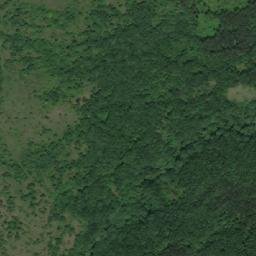 Satellite imagery of TT62, BG