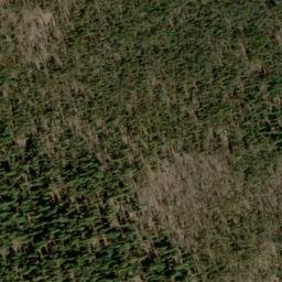 Satellite imagery of Buck Ridge, US