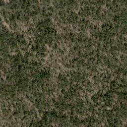 Satellite imagery of Buck Ridge, US