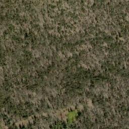 Satellite imagery of Buck Ridge, US