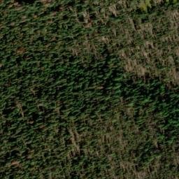 Satellite imagery of Buck Ridge, US