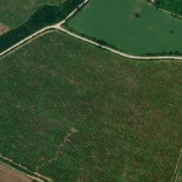 Satellite imagery of TT22, BG