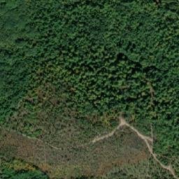 Satellite imagery of Brezovica, RS