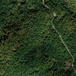 Satellite imagery of Vrljetnica, RS