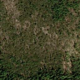 Satellite imagery of Jackson Ridge, US