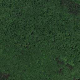 Satellite imagery of TT40, BG