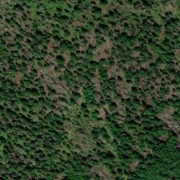 Satellite imagery of Elephant Head, US