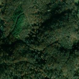 Satellite imagery of TT113, BG