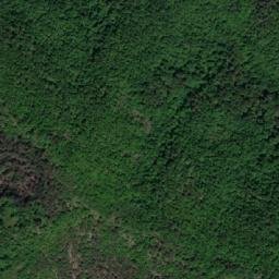 Satellite imagery of TT1956, BG