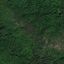 Satellite imagery of TT1956, BG