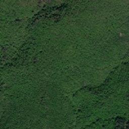 Satellite imagery of TT1956, BG